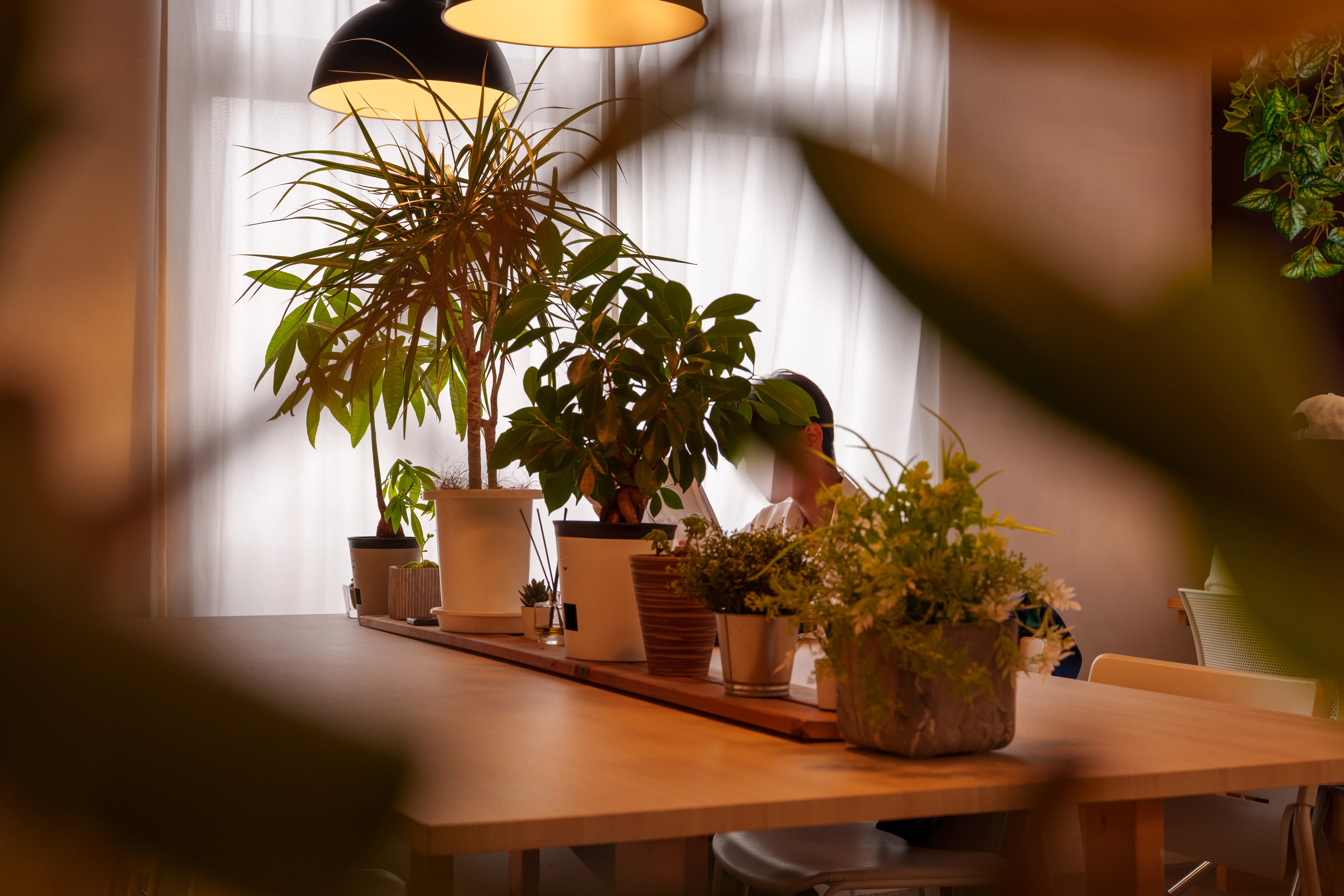 中央テーブルに並ぶ観葉植物と、上から下がる黒いペンダントライト